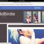 Baddbirdie.modelcentro.com Login Ids