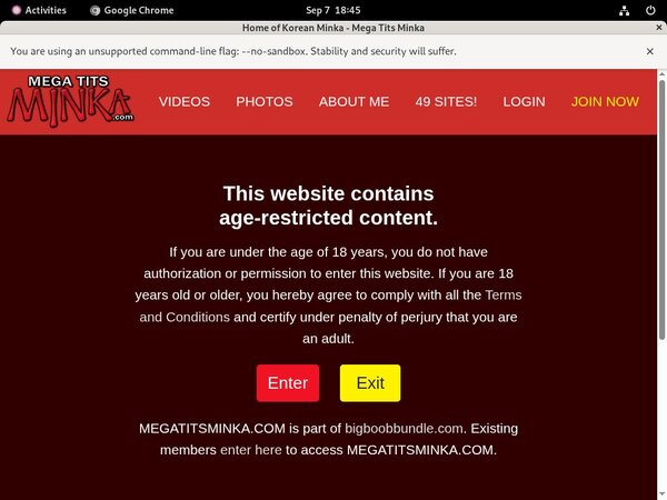 Com Megatitsminka Premium Accounts