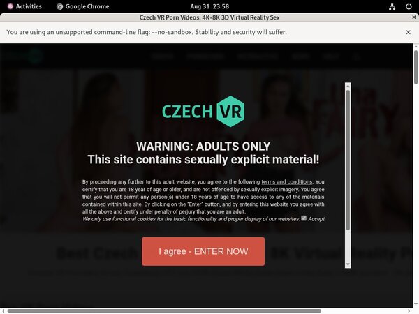 Czechvr User Name