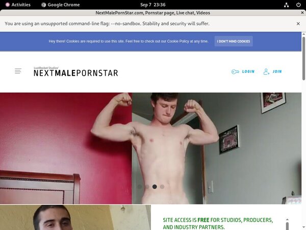 Free Access Nextmalepornstar.com