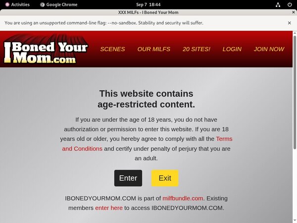 I Boned Your Mom Free Tour