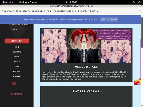 Kawaiiskye.modelcentro.com Pay Pal Account