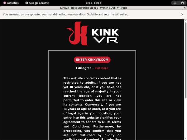 Kinkvr Free Entry