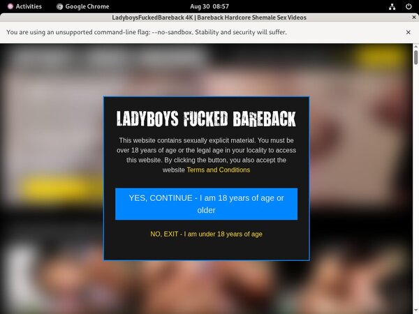 Ladyboys Fucked Bareback Parola D'ordine Gratuito