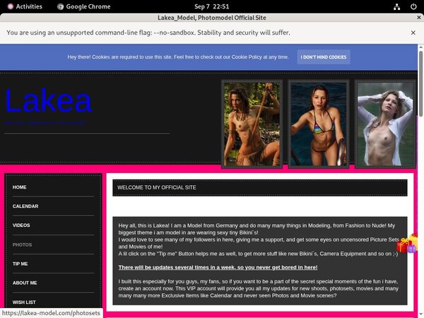 Lakea_Model Payment Options