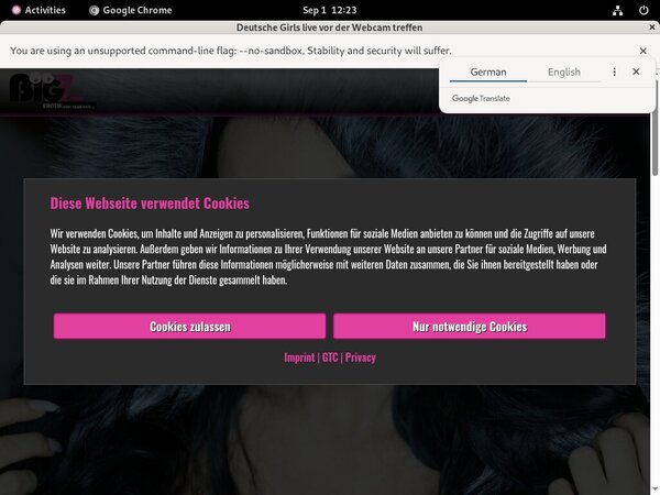 LanaGiselle Network Password