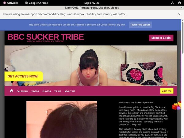 Linxer2013.modelcentro.com Discount Pass