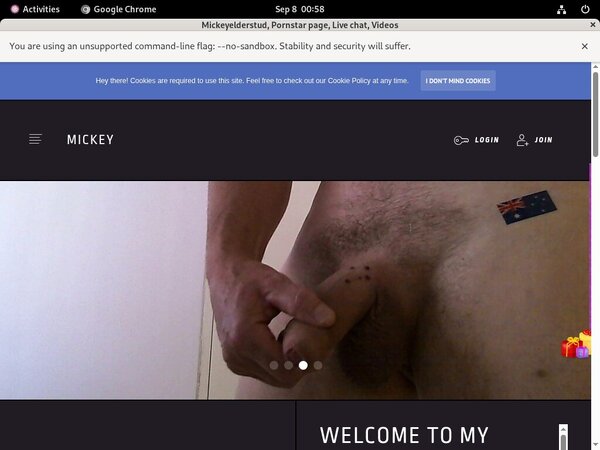 Mickeyelderstud ???
