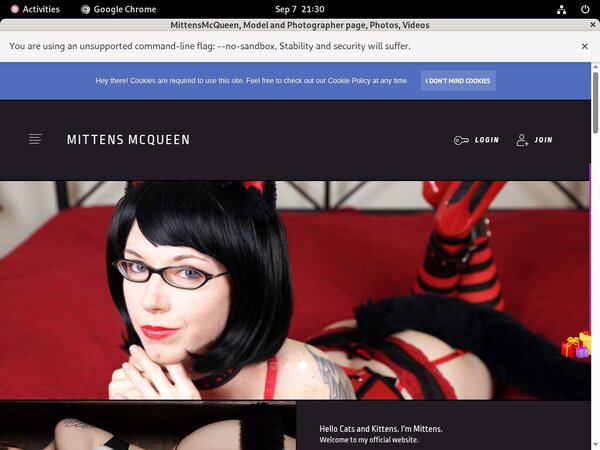 Mittensmcqueen With Paypal