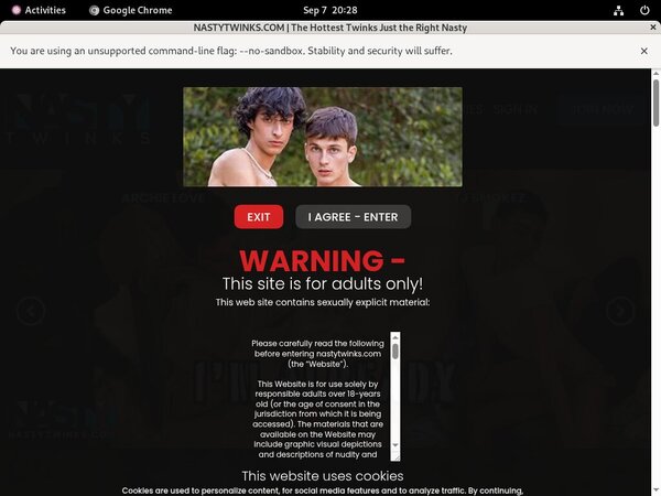 Nastytwinks.com Free Pass