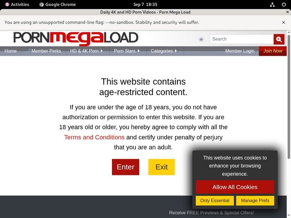 Porn Mega Load Pass Codes