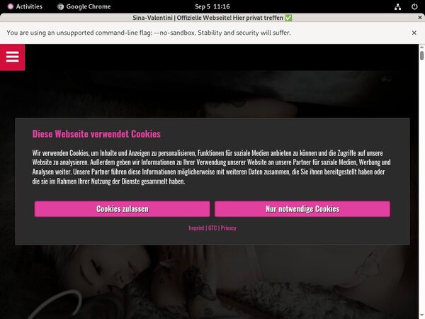 Sina Valentini Discount Account