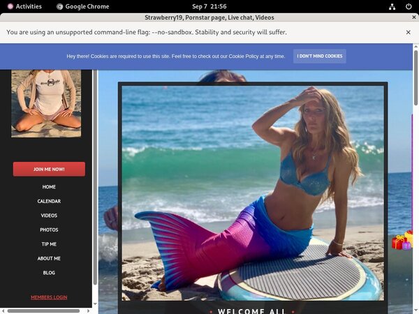 Strawberry19 Password Accounts