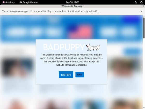 User Pass Badpuppy