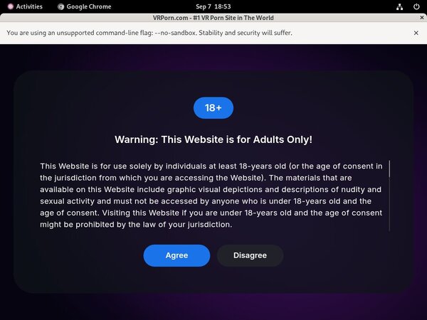 VR Porn Premium Acc
