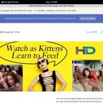 Americankittens Xxx Videos