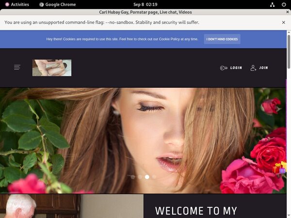 CarlHubayGay Limited Promotion