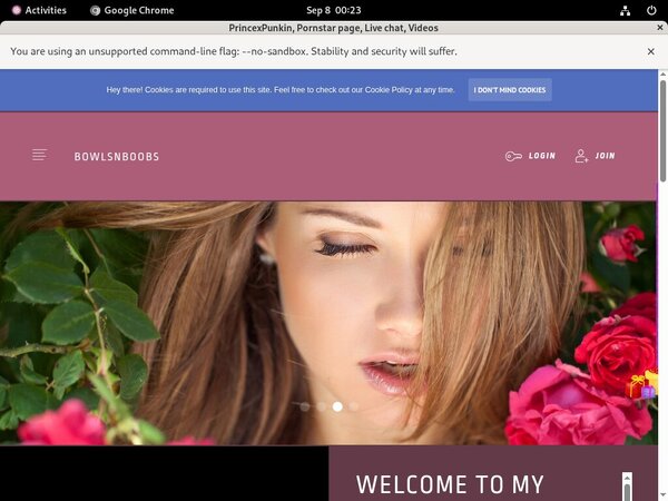 Dl PrincexPunkin Site Rip