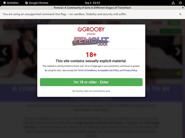 Femout XXX Discount Accounts