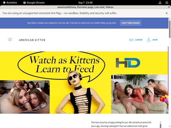 Americankitten.com Premium Acc