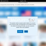 Bad Puppy Valid Account