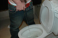 Boys Pissing With Free Trial s4