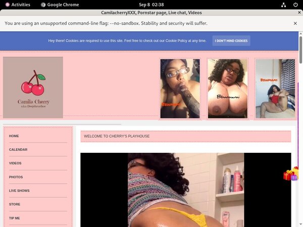 Camilacherryxxx.modelcentro.com Password Bugmenot