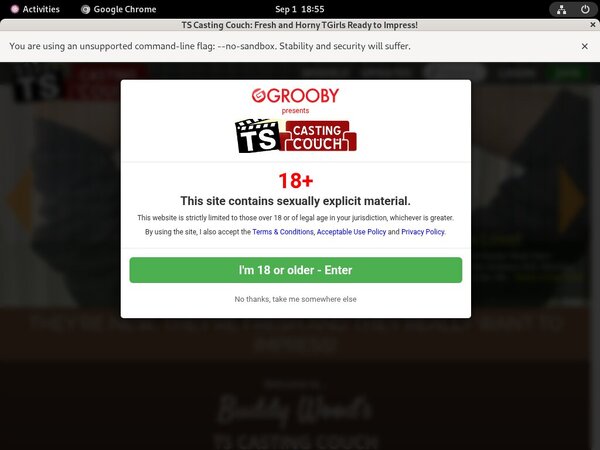 Couch Casting TS Discount Membership