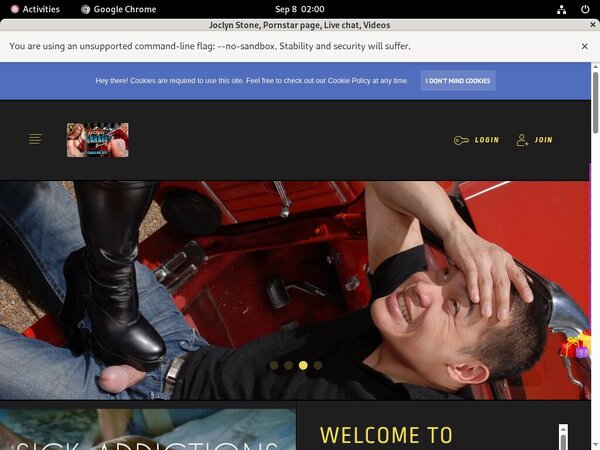 Daily Joclynsgarage.com Accounts