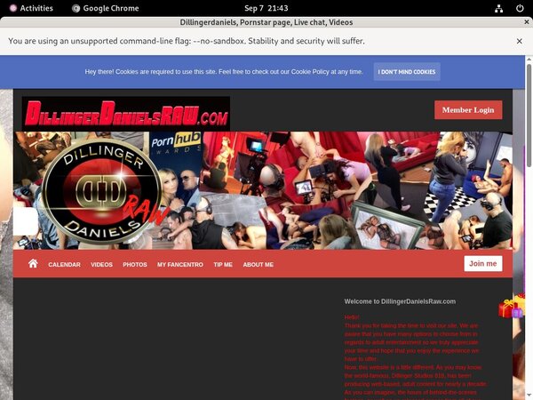 Dillingerdaniels Site
