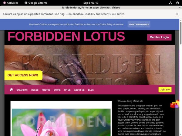 Forbiddenlotus.com Pass Codes