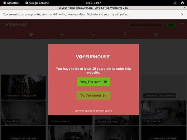 Free Voyeur House Accounts And Passwords