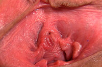 Gape My Pussy Logins Free s0