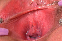 Gapemypussy.com Wiki s1