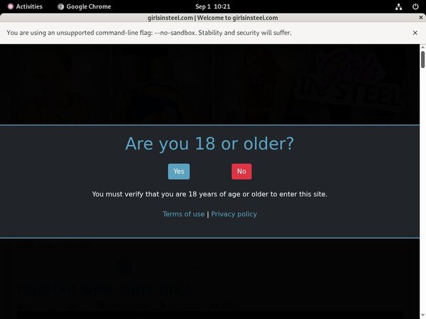 Girls In Steel Freies Konto