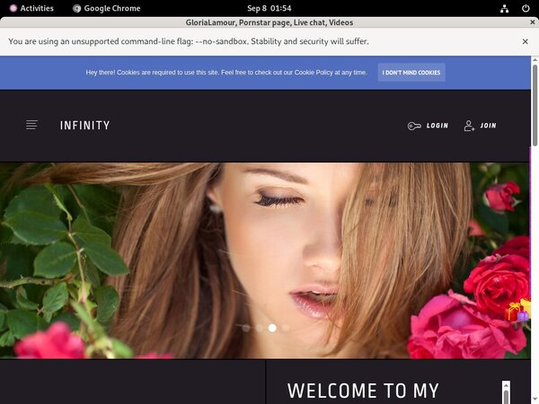 GloriaLamour Network Login