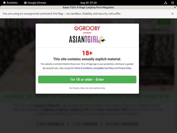 Ladyboy Ladyboy Netcash