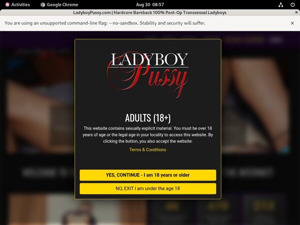 Ladyboy Pussy Porn Password