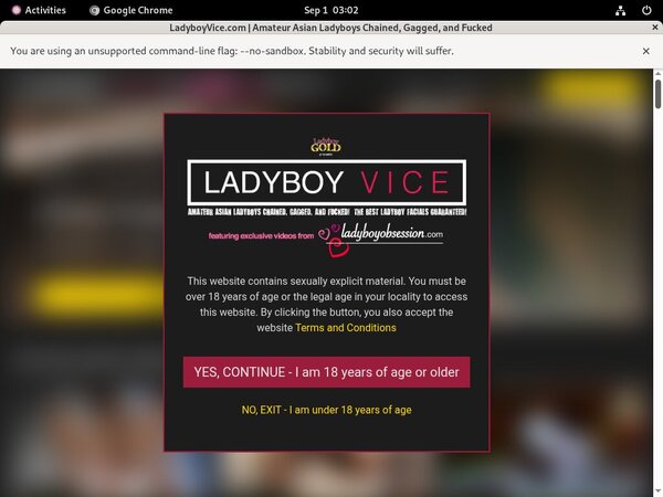 Ladyboyvice Daily Pass