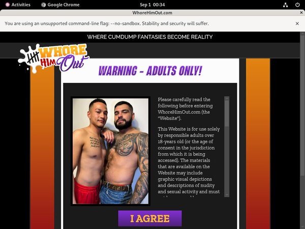 Leaked And Loaded Login Ids