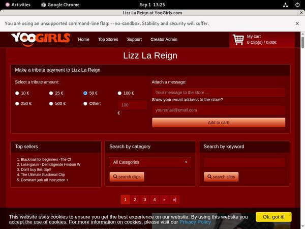Lizz La Reign Logins