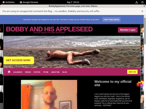 Logins For BobbyAppleseed