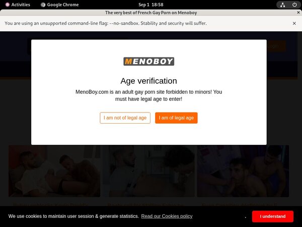 Menoboy Passcodes