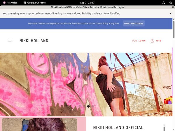 Nikki Holland Stolen Password