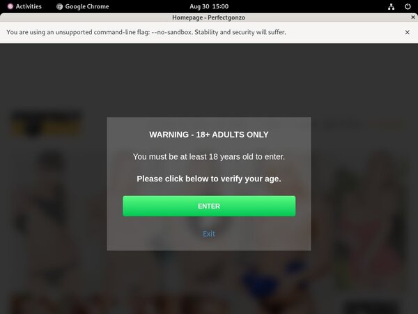 Perfectgonzo Login Pass