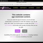 Silversluts Blogspot