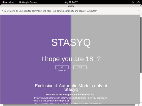 Stasyq.com Login Generator