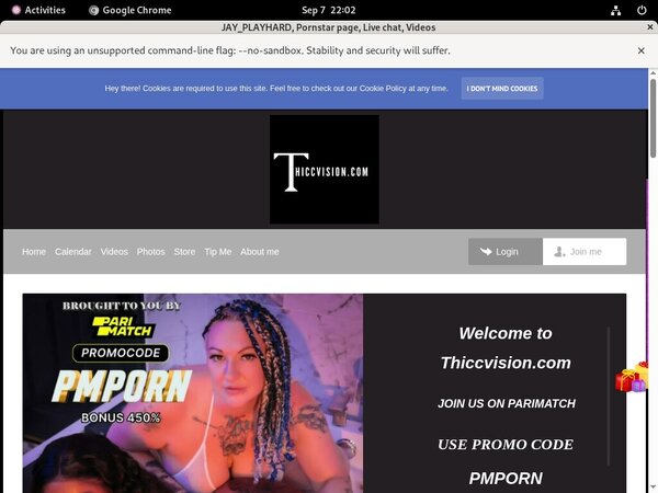 Thiccvision.com Premium Logins