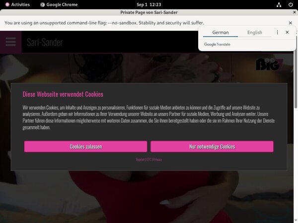 Paypal SariSander Sign Up