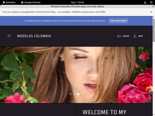 Modelos Colombia With Paysafecard
